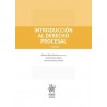 Introducción al Derecho Procesal 2ª Edición