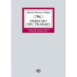 Derecho del Trabajo 2024