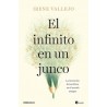 EL INFINITO EN UN JUNCO "La invencion de los libros en el mundo antiguo"