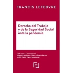 Derecho del Trabajo y de la Seguridad Social ante la pandemia