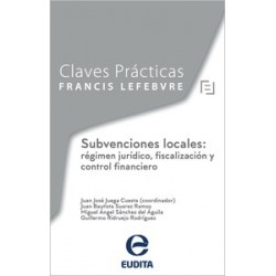 Subvenciones locales: régimen jurídico, fiscalización y control financiero