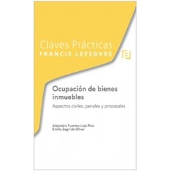 Claves Prácticas Ocupación de bienes inmuebles. Aspectos civiles, penales y procesales