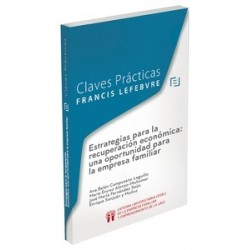 Estrategias para la recuperación económica: una oportunidad para la empresa familiar