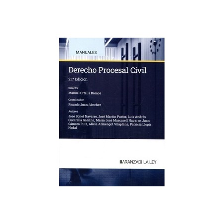 Derecho Procesal Civil 2024