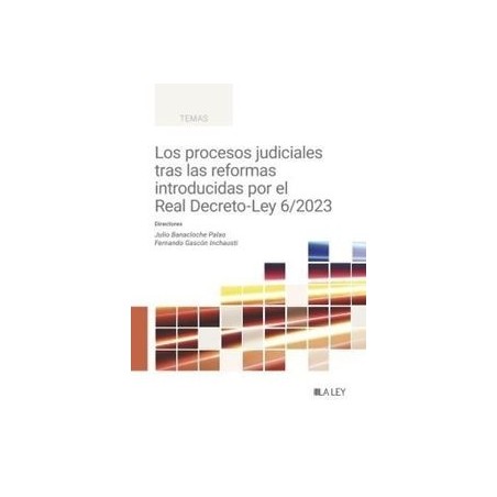 Los procesos judiciales tras las reformas introducidas por el Real Decreto-Ley 6/2023