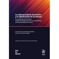 La subasta judicial electrónica y la adjudicación de los bienes