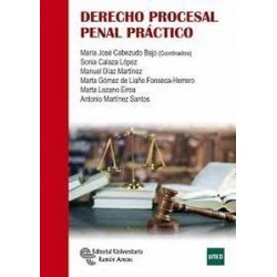 Derecho procesal penal práctico