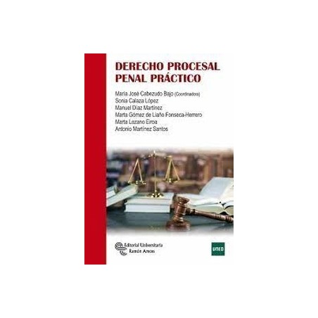 Derecho procesal penal práctico