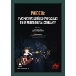 Paideia: perspectivas jurídico-procesales en un mundo digital cambiante