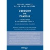 Principios de Derecho Civil. Tomo V. Derecho de Familia