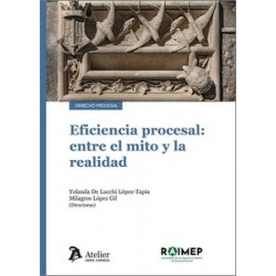 Eficiencia procesal: entre el mito y la realidad