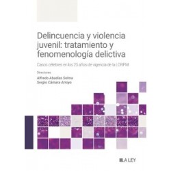 Delincuencia y violencia juvenil: tratamiento y fenomenología delictiva