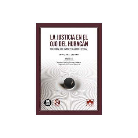 La Justicia en el ojo del huracán "Reflexiones de un magistrado de lo social"