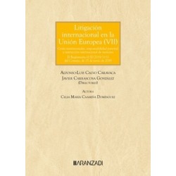 Litigación internacional en la Unión Europea (VII) "Crisis matrimoniales, responsabilidad...