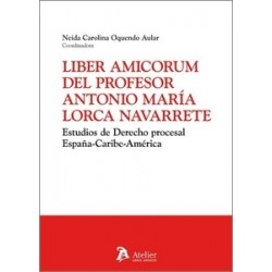 Liber Amicorum del profesor Antonio María Lorca Navarrete "Estudios de derecho procesal...