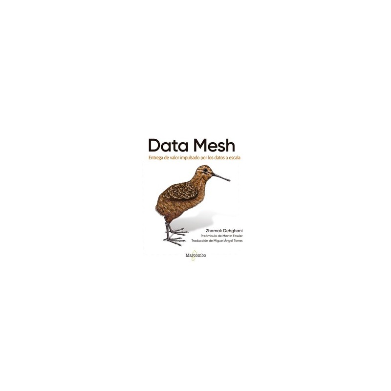 DATA MESH