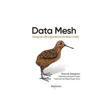 DATA MESH