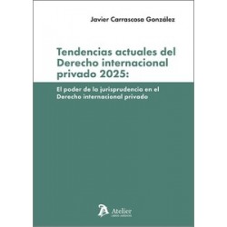 Tendencias actuales del derecho internacional privado 2025 "el poder de la jurisprudencia en el derecho internacional privado"