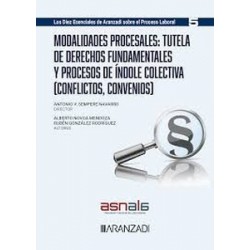 Modalidades procesales: tutela de derechos fundamentales y procesos de índole colectiva...