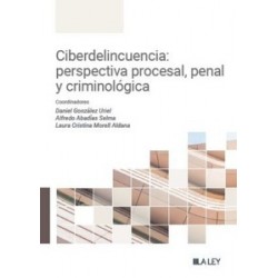 Ciberdelincuencia: perspectiva penal, procesal y criminológica