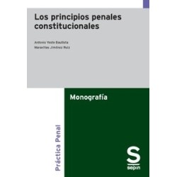 Los principios penales constitucionales