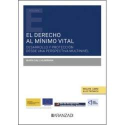 El derecho al mínimo vital: desarrollo y protección desde una perspectiva multinivel