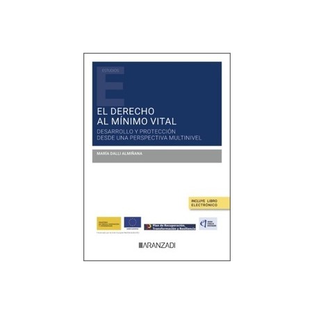 El derecho al mínimo vital: desarrollo y protección desde una perspectiva multinivel