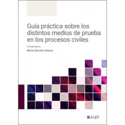 Guía práctica sobre los distintos medios de prueba en los procesos civiles