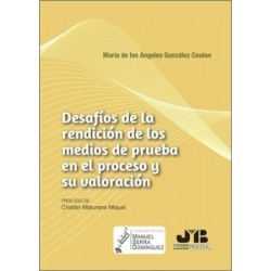 Desafíos de la rendición de los medios de prueba en el proceso y su valoración