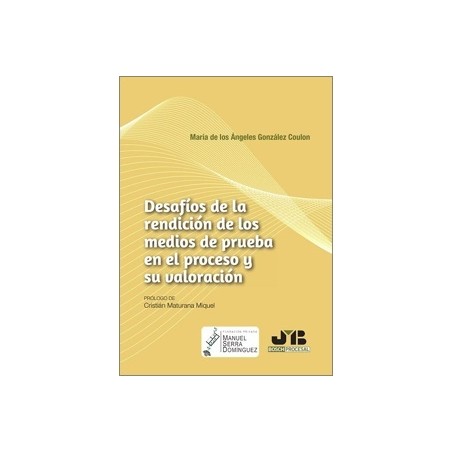 Desafíos de la rendición de los medios de prueba en el proceso y su valoración