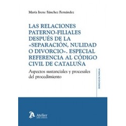 Relaciones paterno-filiales después de la  separación, nulidad o divorcio