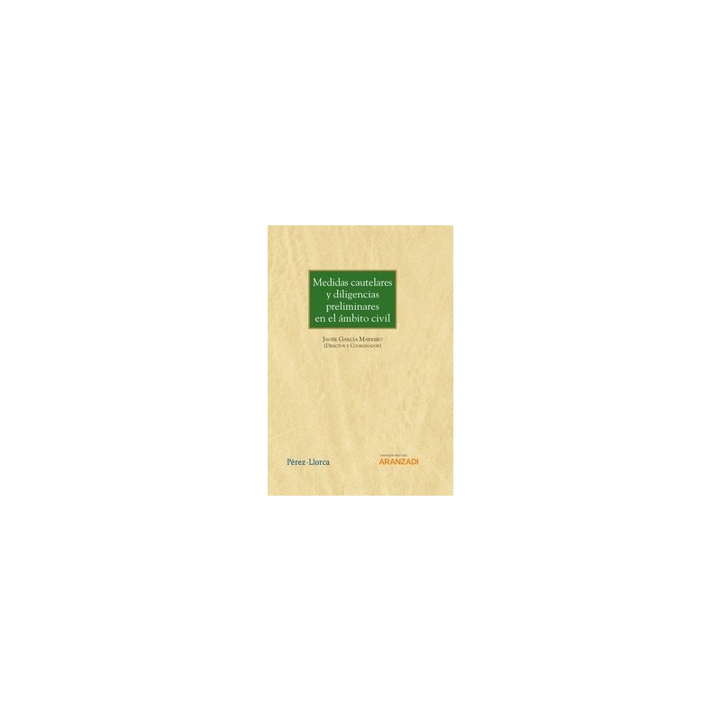 Medidas cautelares diligencias preliminares en ambito civil (Papel + Ebook)