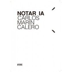 Notar IA "Sistema Experto Notarial y aplicación de la Inteligencia Artificial (IA)"