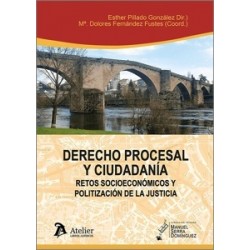 Derecho Procesal y ciudadanía: retos socioeconómicos y politización de la justicia