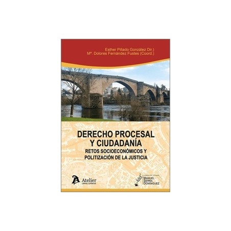 Derecho Procesal y ciudadanía: retos socioeconómicos y politización de la justicia