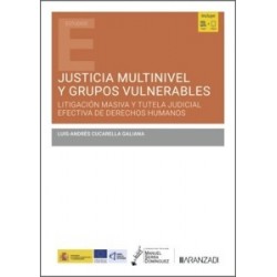 Justicia multinivel y grupos vulnerables