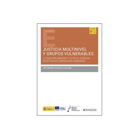 Justicia multinivel y grupos vulnerables