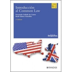 INTRODUCCION AL COMMON LAW 2ª EDICION 2025