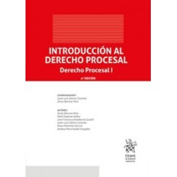 Introducción al Derecho Procesal. Derecho Procesal I "PENDIENTE NUEVA EDICIÓN 2025"