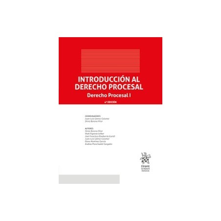 Introducción al Derecho Procesal. Derecho Procesal I "PENDIENTE NUEVA EDICIÓN 2025"