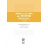 Introducción al Derecho Procesal 2ª Edición "PENDIENTE NUEVA EDICIÓN 2025"