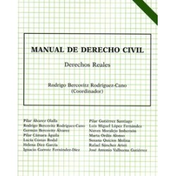 Manual de Derecho Civil. Derechos reales "8ª Edición 2024"