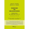 Principios de Derecho civil. Tomo II. Derecho de obligaciones