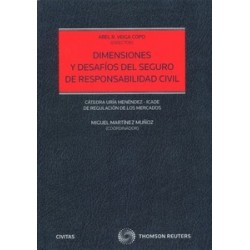 Dimensiones y desafíos del seguro de responsabilidad civil (Papel + Ebook)
