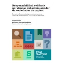 Responsabilidad solidaria por deudas del administrador de sociedades de capital "Normativa,...
