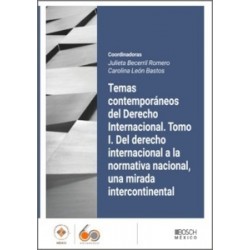 Temas contemporáneos del Derecho Internacional