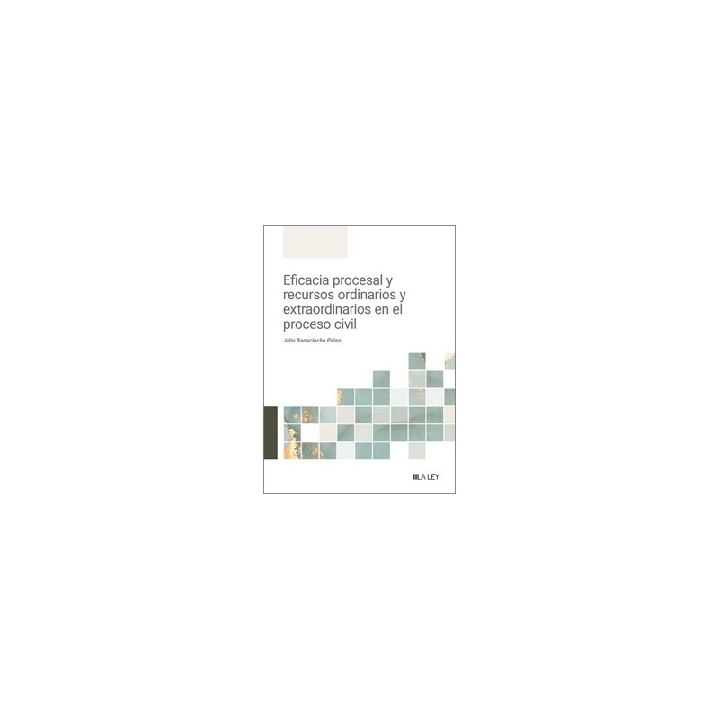 Eficacia procesal y recursos ordinarios y extraordinarios en el proceso civil