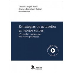 Estrategias de actuación en juicios civiles 'Preguntas y respuestas con vídeos prácticos'