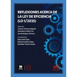 Reflexiones acerca de la Ley de eficiencia (LO 1/2025)