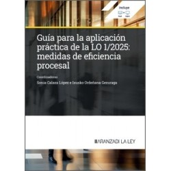 Guía para la aplicación práctica de la LO 1/2025: Medidas de eficiencia procesal